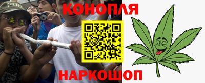 гидра Кинель