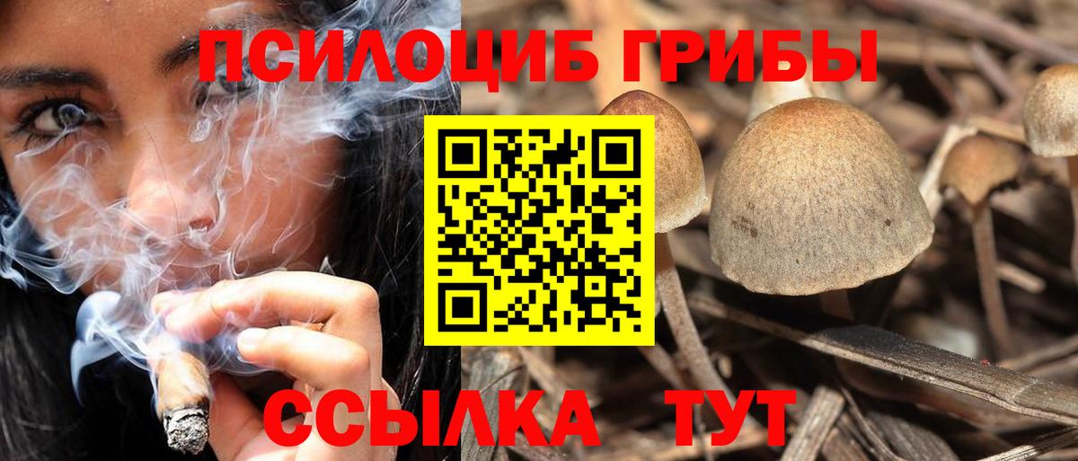 Галлюциногенные грибы ЛСД Котовск
